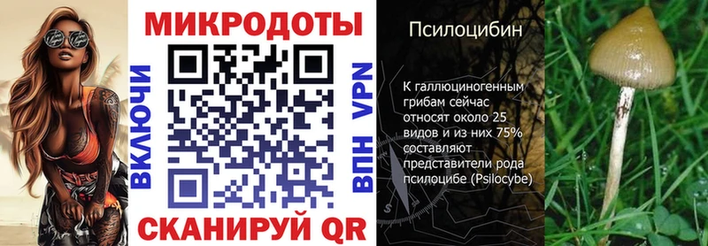 Галлюциногенные грибы прущие грибы  Сургут 