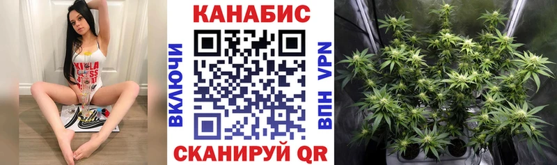Канабис Ganja  купить наркотики цена  ОМГ ОМГ ссылки  Сургут 